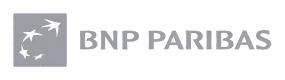 Partner 21